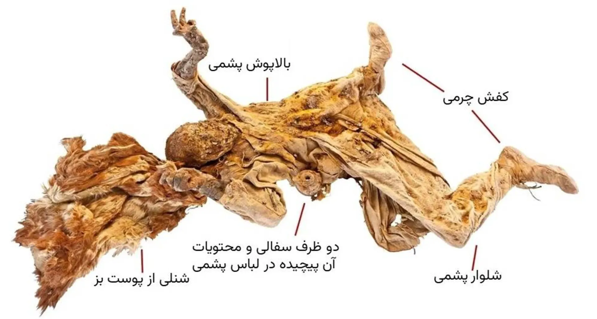 مومیایی مرد نمکی شماره 4