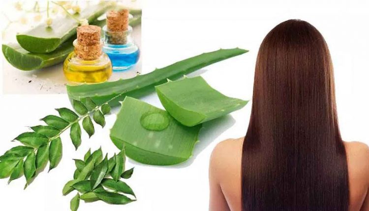درمان های خانگی برای رویش مجدد مو + قویترین داروی رشد مو