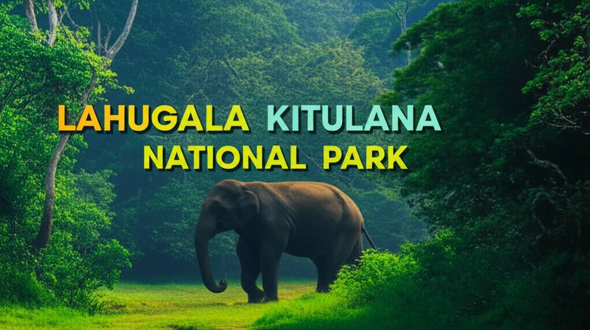 پارک ملی لاهوگانا کیتولانا Lahugala Kitulana National Park