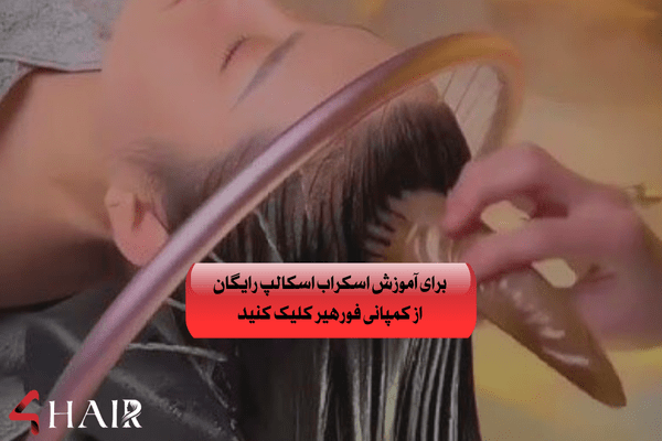 از جنوب تهران تا برج های نیاوران در 6 ماه! درآمد میلیاردی