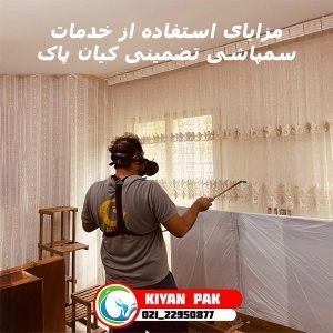سوسک آمریکایی از کجا میاد؟