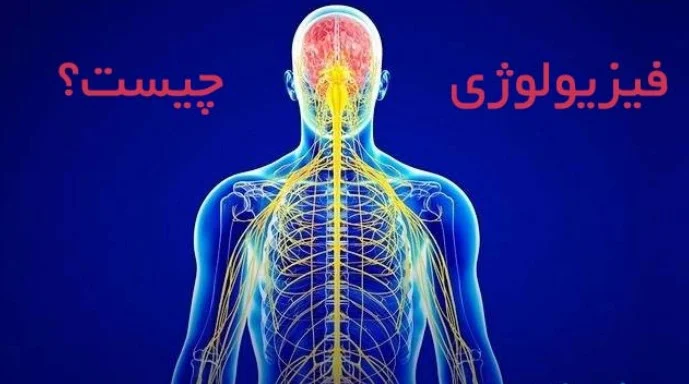 بررسی تغییرات بنیادین در فیزیولوژی گایتون ۲۰۲۴