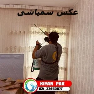 سوسک آمریکایی از کجا میاد؟